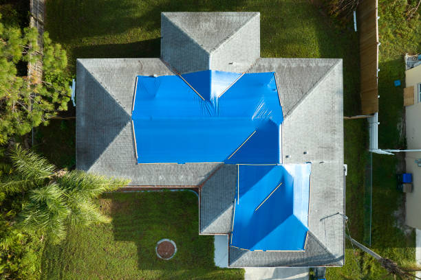 Best Asphalt Shingle Roofing  in Tazewell, VA