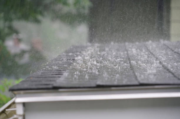 Best Roof Leak Repair  in Tazewell, VA