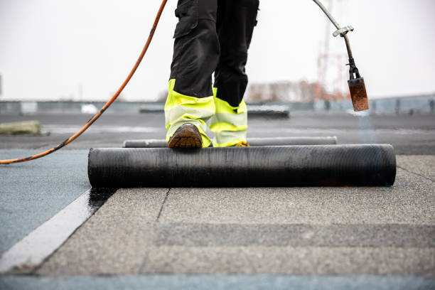 Best Roof Maintenance and Cleaning  in Tazewell, VA